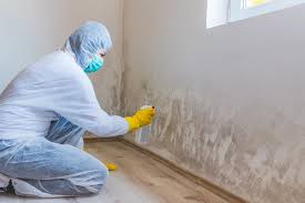 Why You Should Choose Our Mold Remediation Services in Amity Gardens, PA